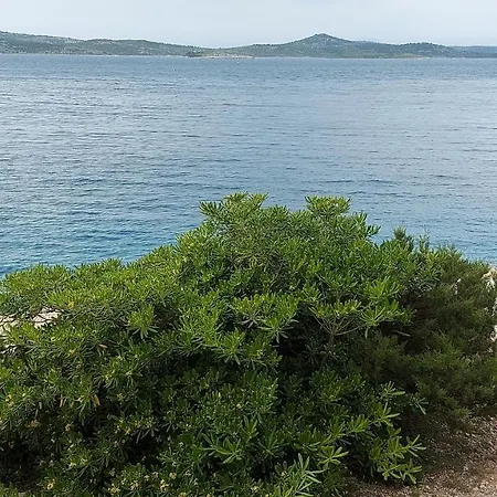Holiday Tanja *